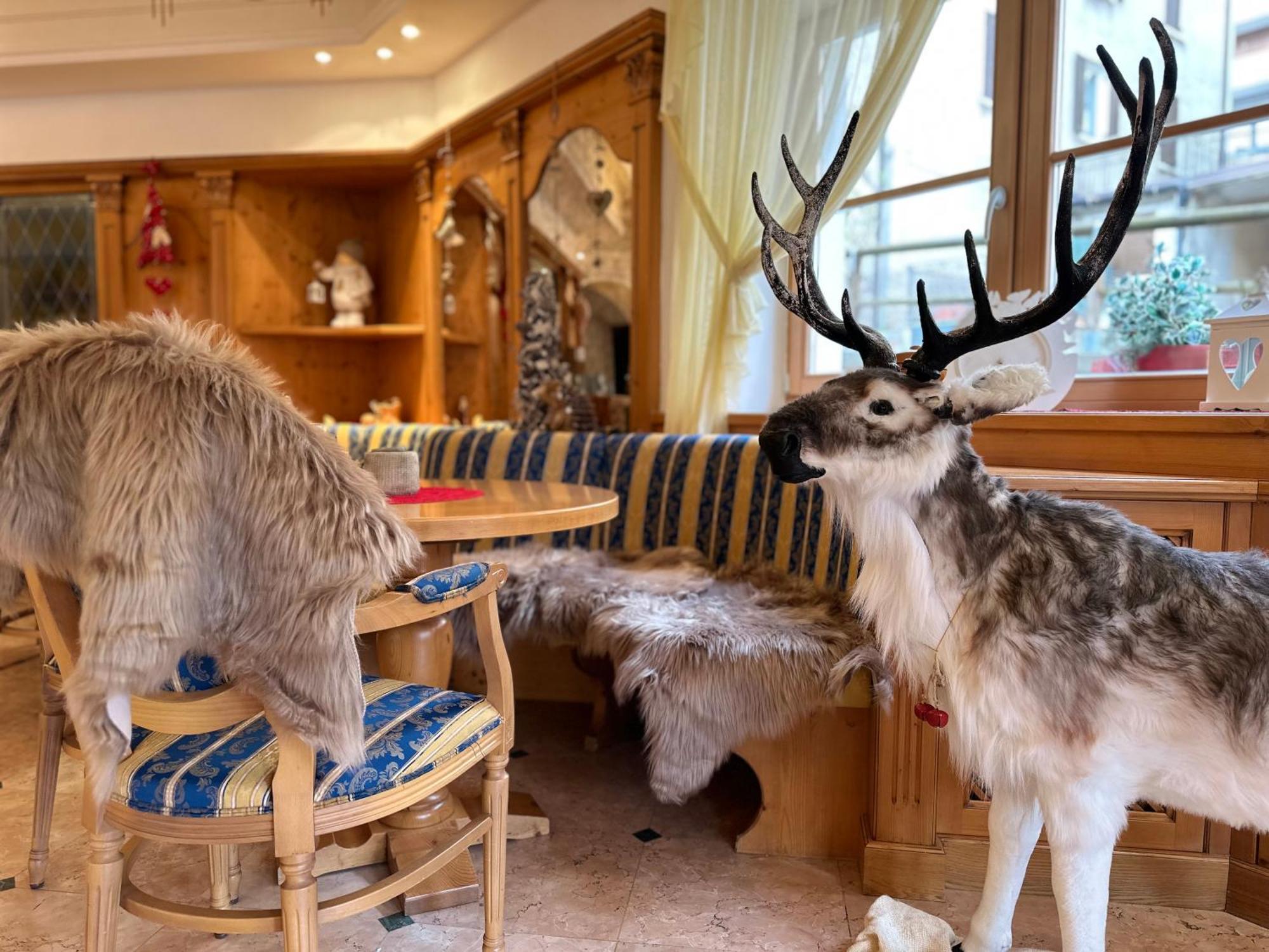 Hotel Europa Molveno Εξωτερικό φωτογραφία